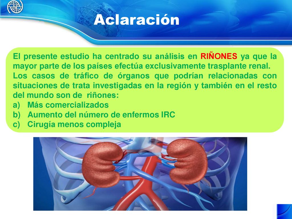 Aclaración El presente estudio ha centrado su análisis en RIÑONES ya que la mayor parte de los países efectúa exclusivamente trasplante renal.
