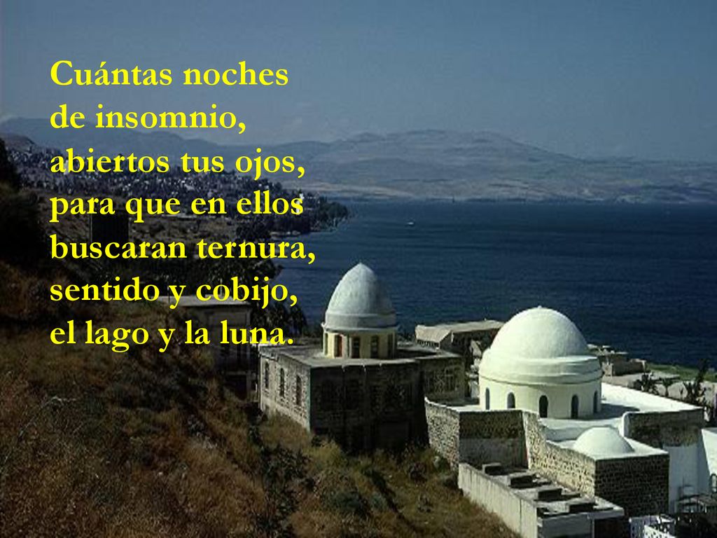 Cuántas noches de insomnio, abiertos tus ojos, para que en ellos. buscaran ternura, sentido y cobijo,