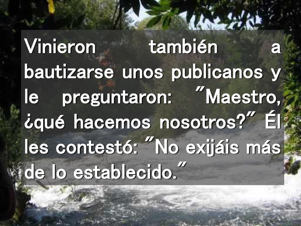 Vinieron también a bautizarse unos publicanos y le preguntaron: Maestro, ¿qué hacemos nosotros Él les contestó: No exijáis más de lo establecido.