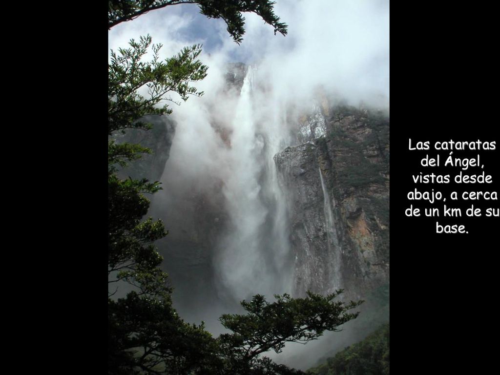 Las cataratas del Ángel, vistas desde abajo, a cerca de un km de su base.