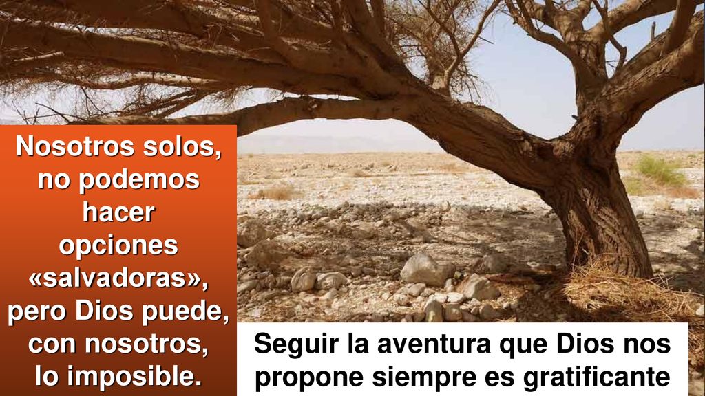 Seguir la aventura que Dios nos propone siempre es gratificante