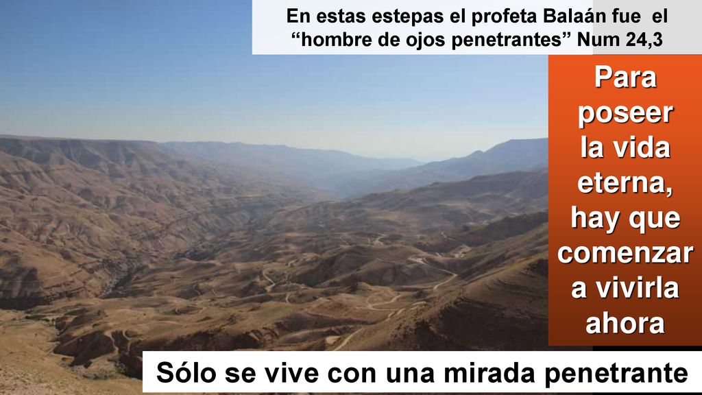 Para poseer la vida eterna, hay que comenzar a vivirla ahora