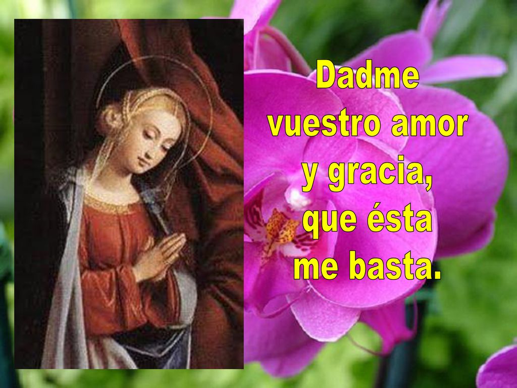 Dadme vuestro amor y gracia, que ésta me basta.
