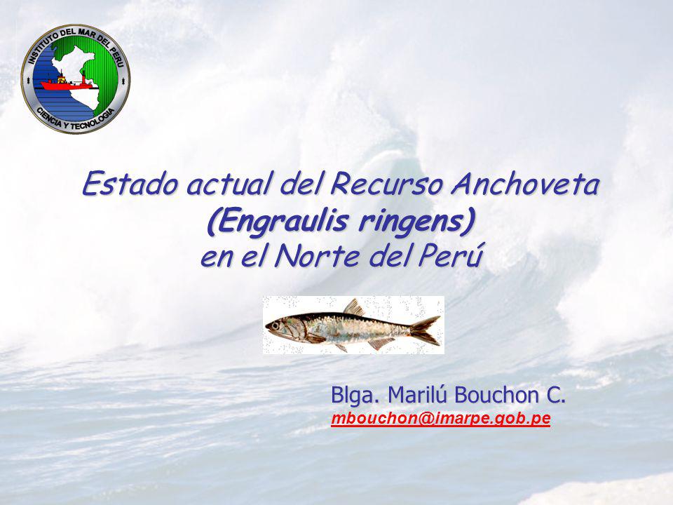 Estado actual del Recurso Anchoveta (Engraulis ringens) en el Norte del Perú