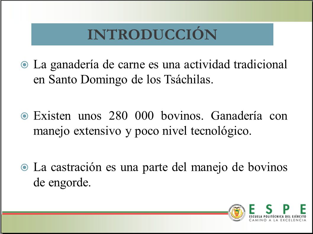 INTRODUCCIÓN La ganadería de carne es una actividad tradicional en Santo Domingo de los Tsáchilas.