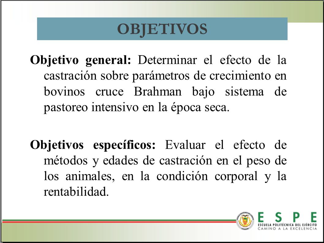 OBJETIVOS