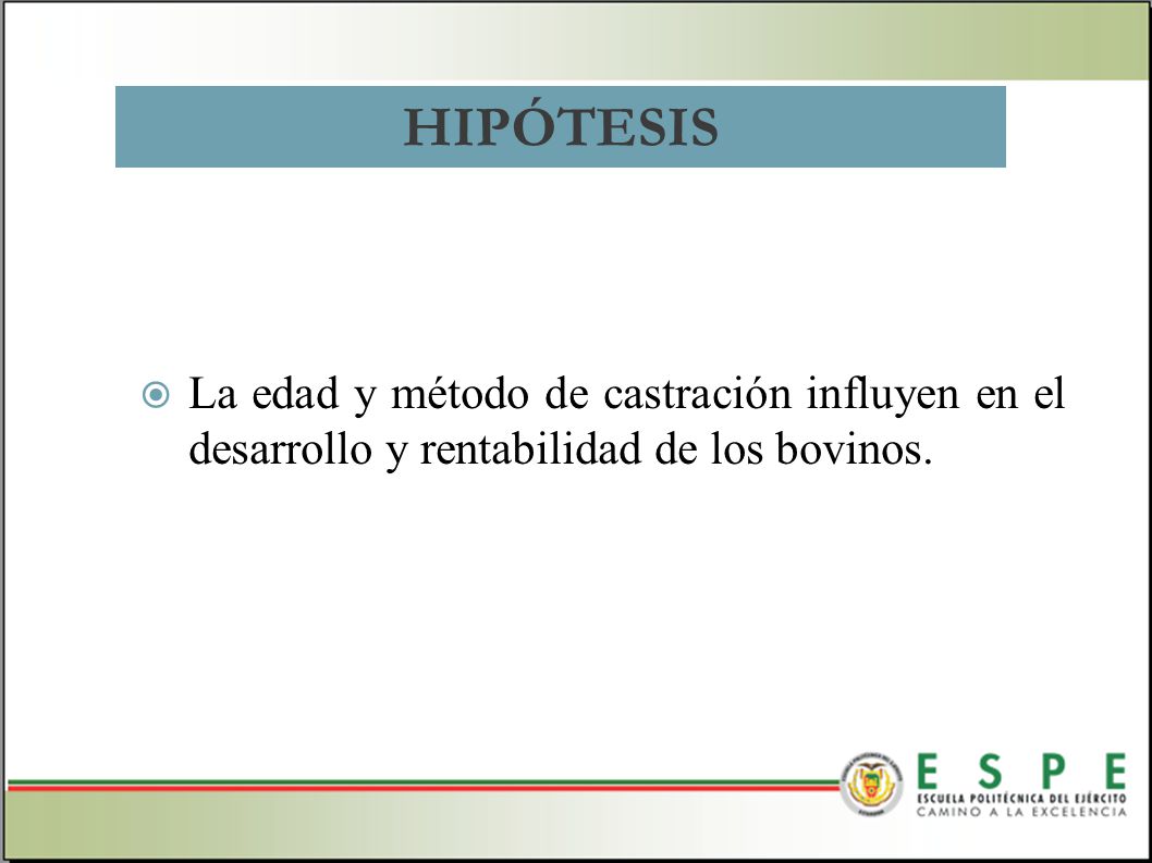HIPÓTESIS La edad y método de castración influyen en el desarrollo y rentabilidad de los bovinos.
