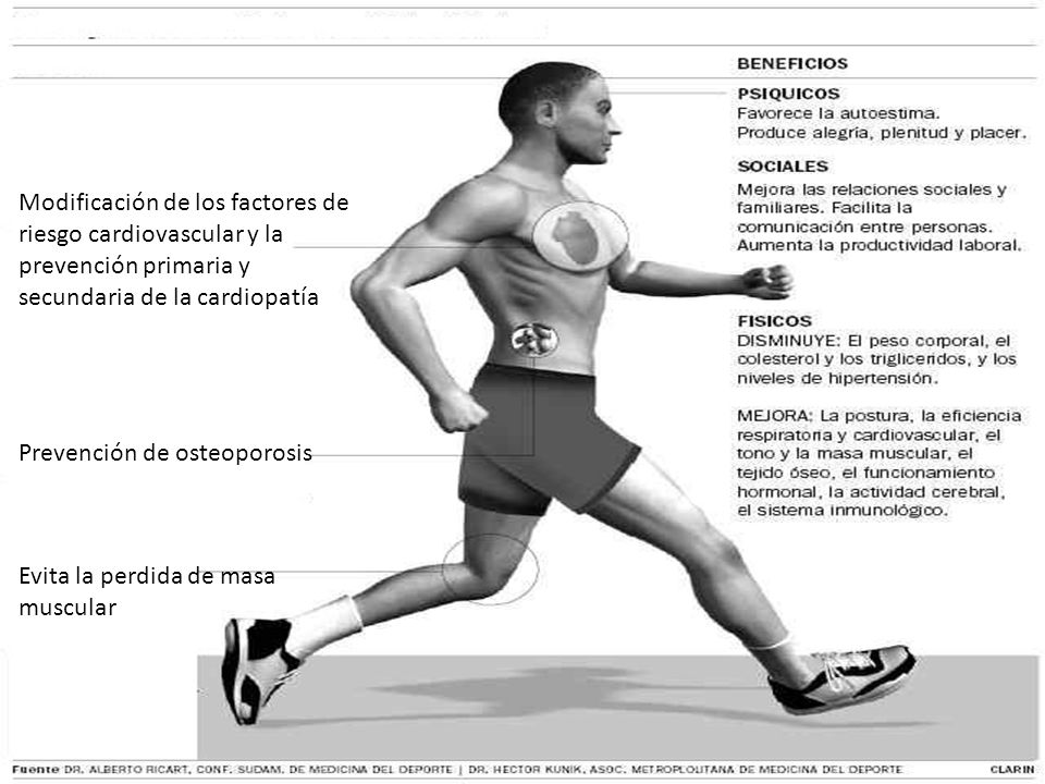 Modificación de los factores de riesgo cardiovascular y la prevención primaria y secundaria de la cardiopatía