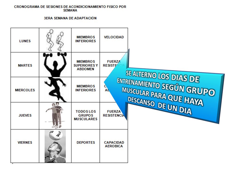SE ALTERNO LOS DIAS DE ENTRENAMIENTO SEGÚN GRUPO MUSCULAR PARA QUE HAYA DESCANSO DE UN DIA
