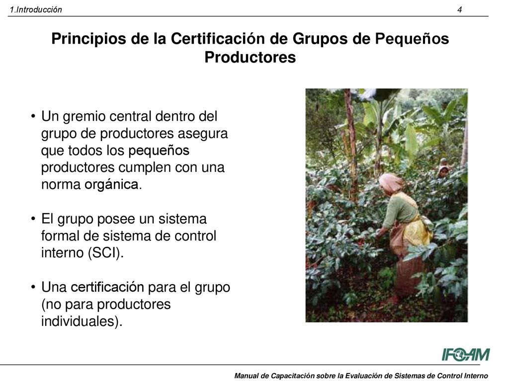 Principios de la Certificación de Grupos de Pequeños Productores