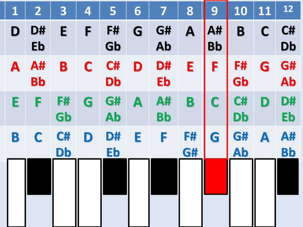 D E F G A B C D# Eb F# Gb G# Ab A# Bb C# Db 12