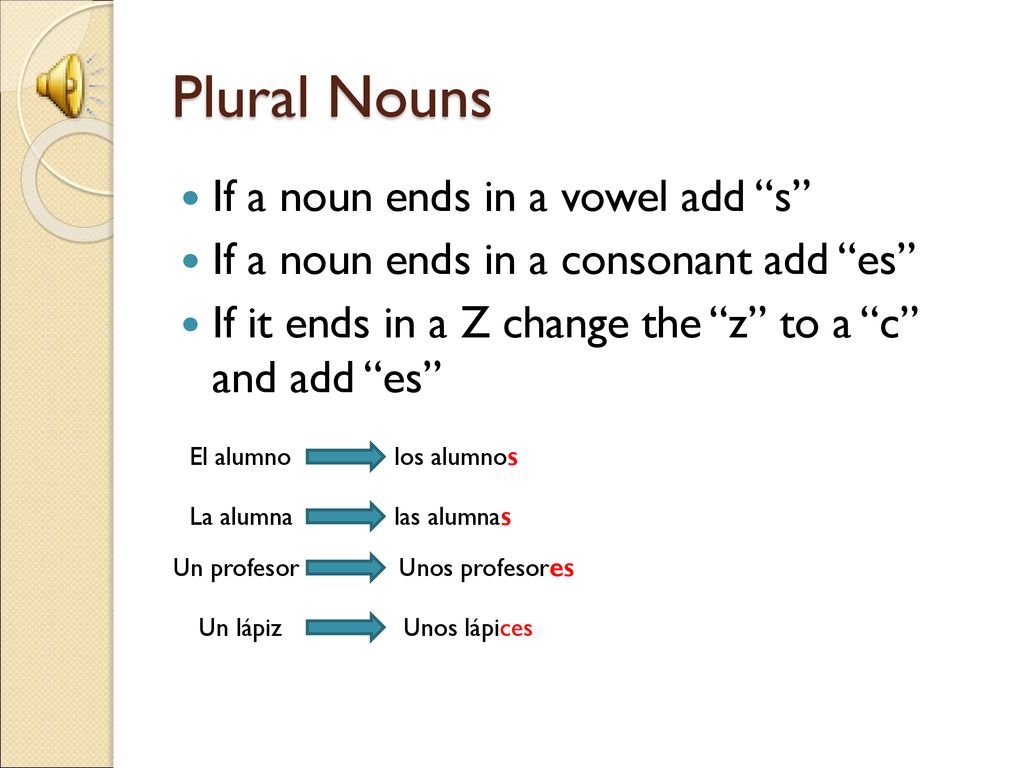 Plural Nouns If a noun ends in a vowel add s