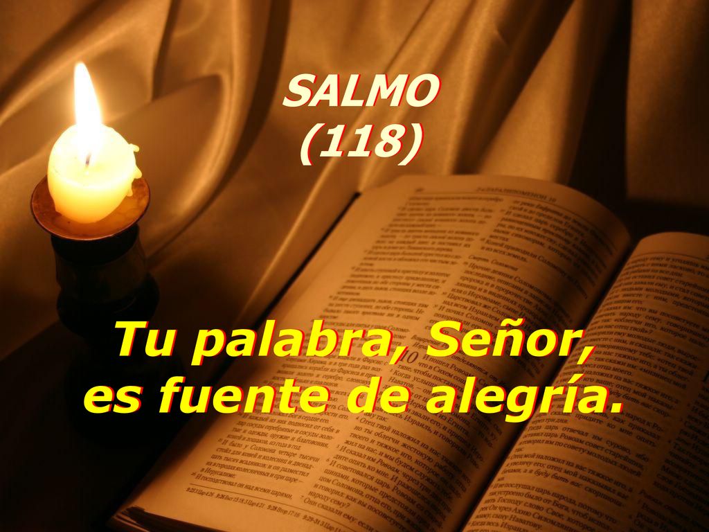 SALMO (118) Tu palabra, Señor, es fuente de alegría.