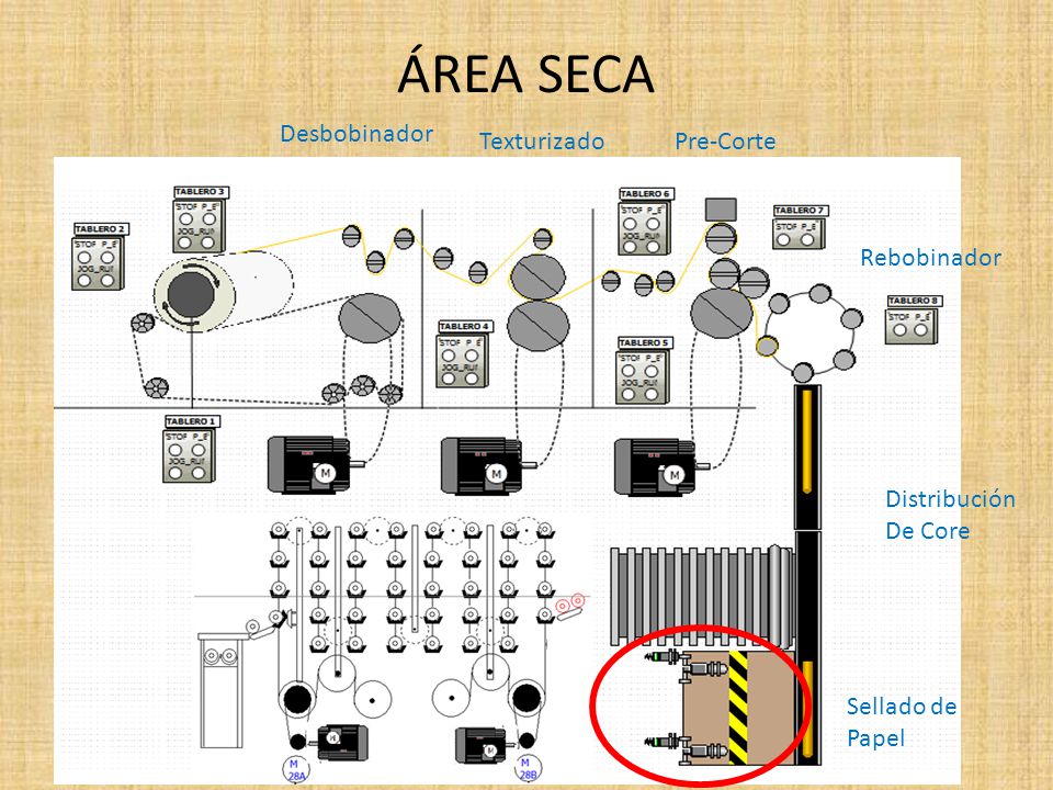 ÁREA SECA Desbobinador Texturizado Pre-Corte Rebobinador Distribución