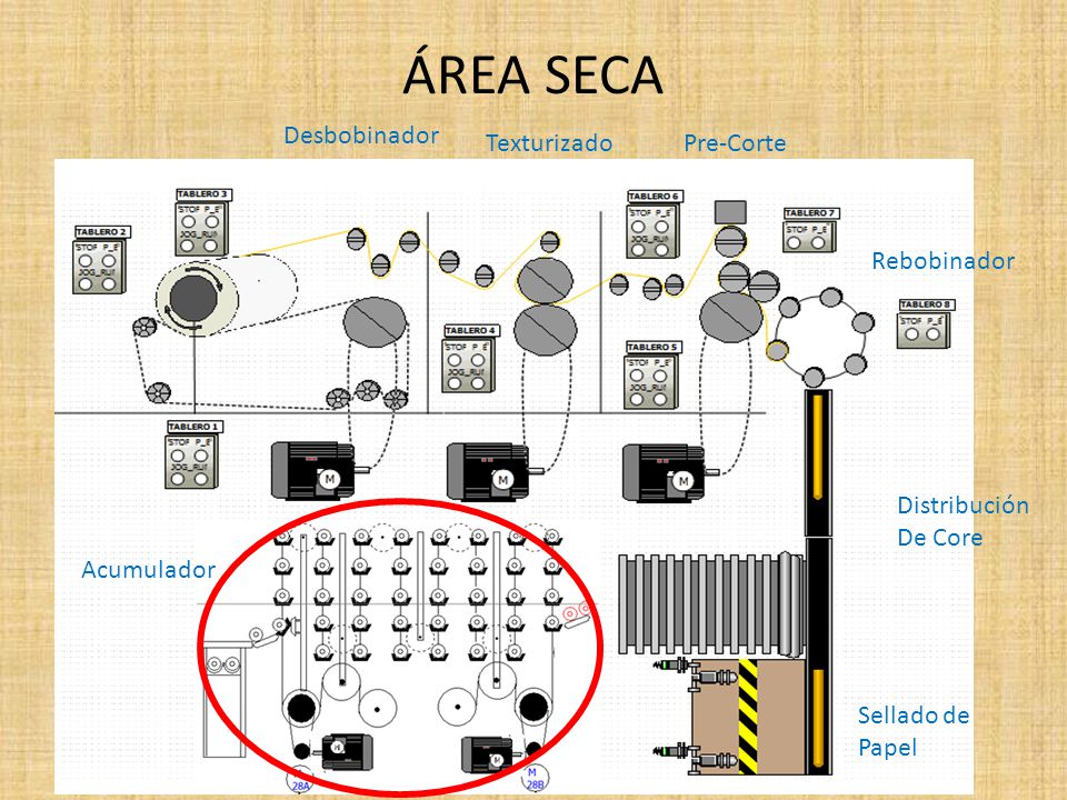 ÁREA SECA Desbobinador Texturizado Pre-Corte Rebobinador Distribución
