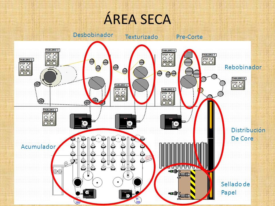 ÁREA SECA Desbobinador Texturizado Pre-Corte Rebobinador Distribución
