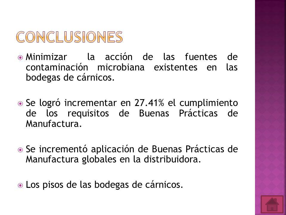 Conclusiones Minimizar la acción de las fuentes de contaminación microbiana existentes en las bodegas de cárnicos.