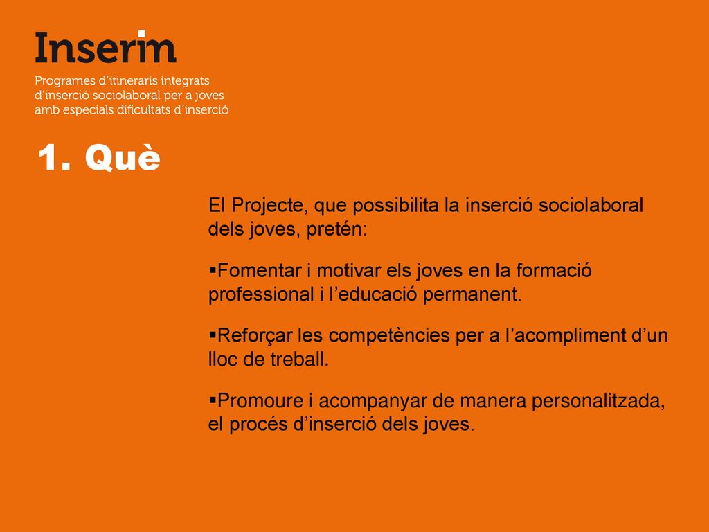 1. Què El Projecte, que possibilita la inserció sociolaboral dels joves, pretén: