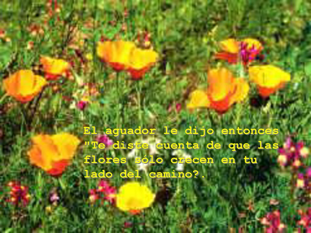 El aguador le dijo entonces Te diste cuenta de que las flores sólo crecen en tu lado del camino .
