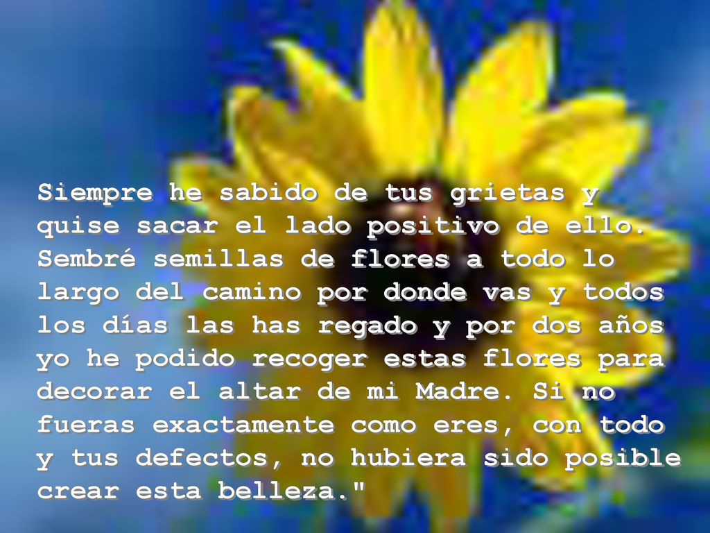 Siempre he sabido de tus grietas y quise sacar el lado positivo de ello.