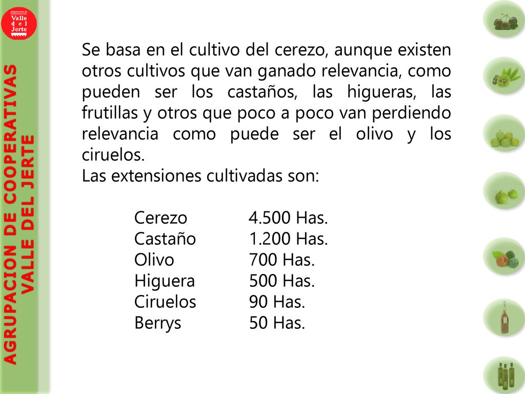 Se basa en el cultivo del cerezo, aunque existen otros cultivos que van ganado relevancia, como pueden ser los castaños, las higueras, las frutillas y otros que poco a poco van perdiendo relevancia como puede ser el olivo y los ciruelos.