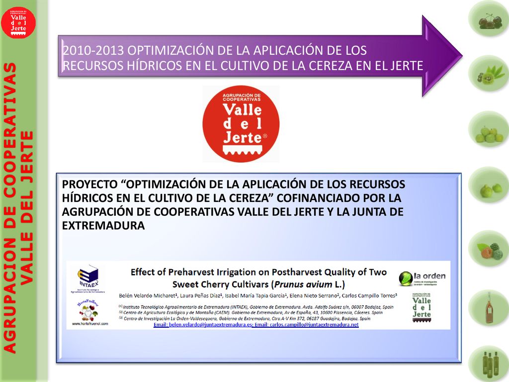 OPTIMIZACIÓN DE LA APLICACIÓN DE LOS RECURSOS HÍDRICOS EN EL CULTIVO DE LA CEREZA EN EL JERTE