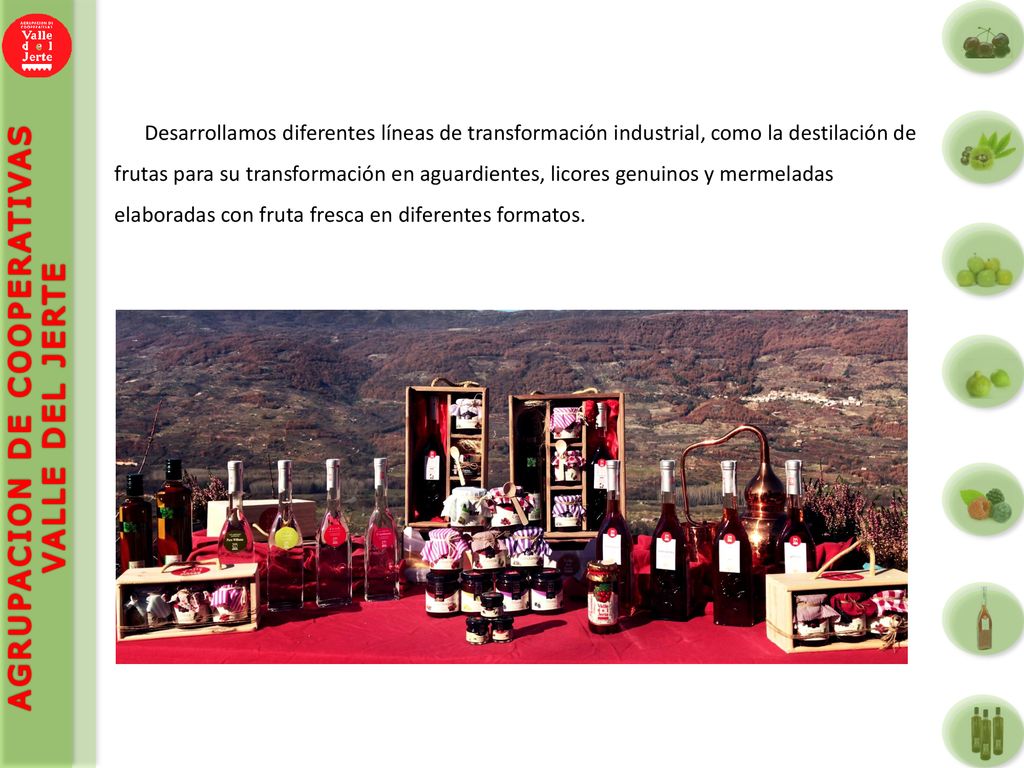 Desarrollamos diferentes líneas de transformación industrial, como la destilación de frutas para su transformación en aguardientes, licores genuinos y mermeladas elaboradas con fruta fresca en diferentes formatos.