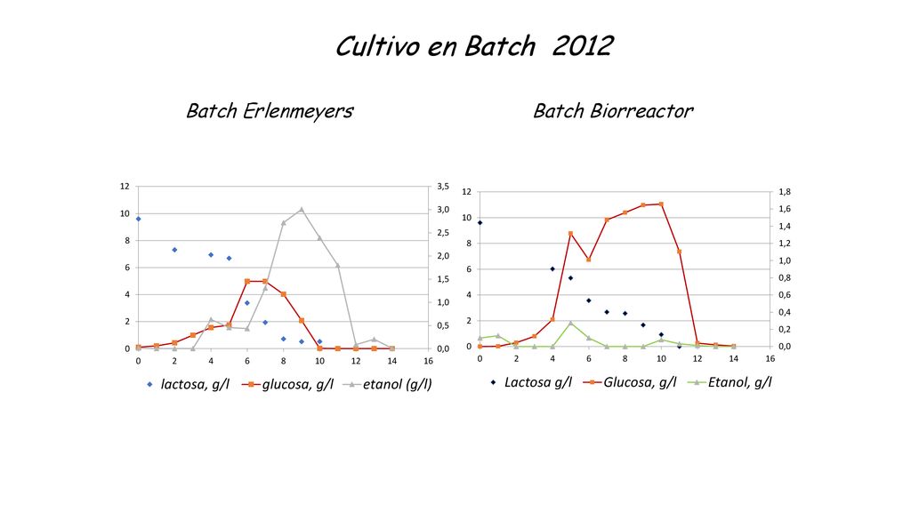 Cultivo en Batch 2012 Batch Erlenmeyers Batch Biorreactor