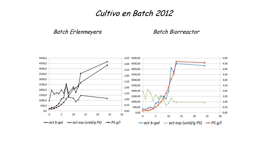 Cultivo en Batch 2012 Batch Erlenmeyers Batch Biorreactor
