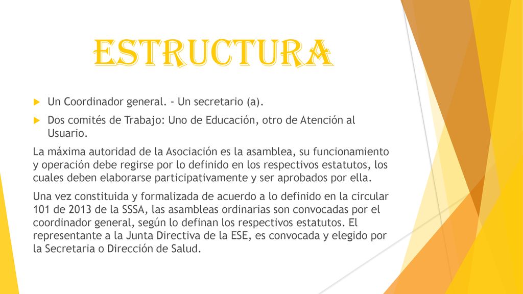 ESTRUCTURA Un Coordinador general. - Un secretario (a).