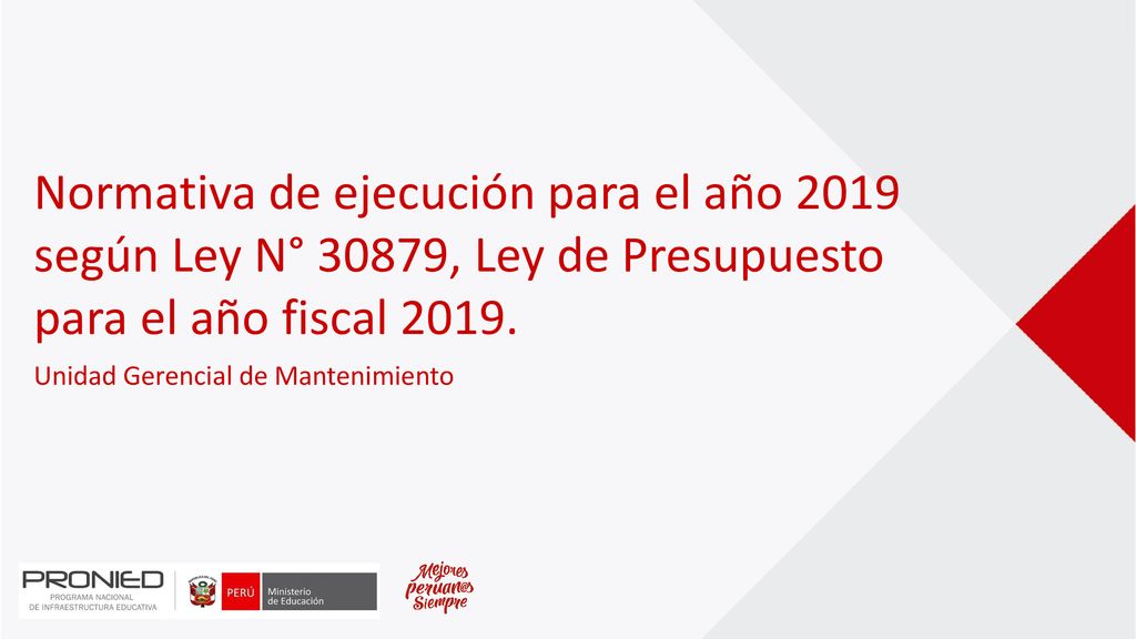 Normativa de ejecución para el año 2019 según Ley N° 30879, Ley de Presupuesto para el año fiscal 2019.