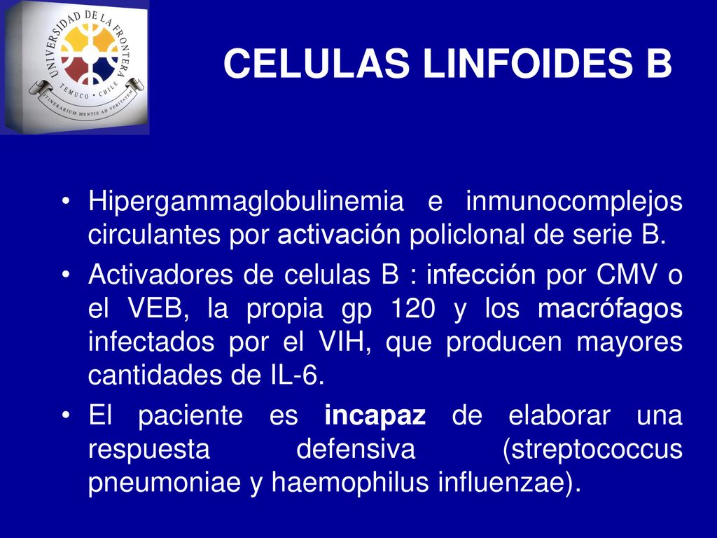 CELULAS LINFOIDES B Hipergammaglobulinemia e inmunocomplejos circulantes por activación policlonal de serie B.