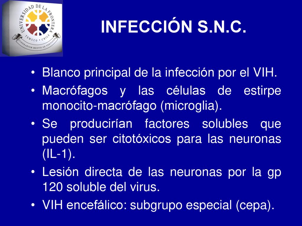 INFECCIÓN S.N.C. Blanco principal de la infección por el VIH.