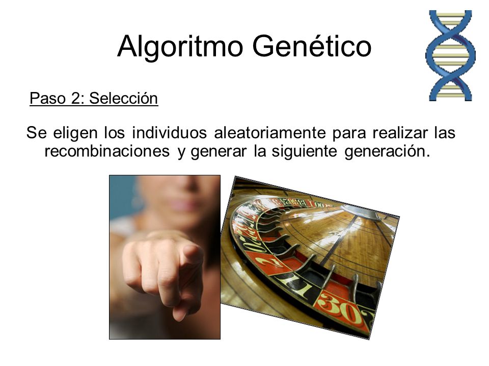 Algoritmo Genético Paso 2: Selección. Se eligen los individuos aleatoriamente para realizar las recombinaciones y generar la siguiente generación.