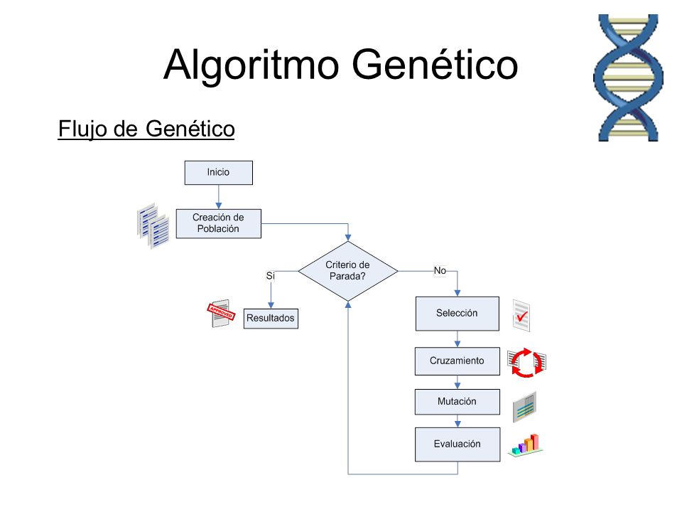 Algoritmo Genético Flujo de Genético Inicio de ciclo Reproductivo.