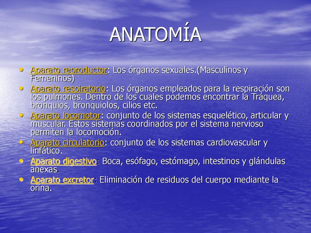 ANATOMÍA Aparato reproductor: Los órganos sexuales.(Masculinos y Femeninos)
