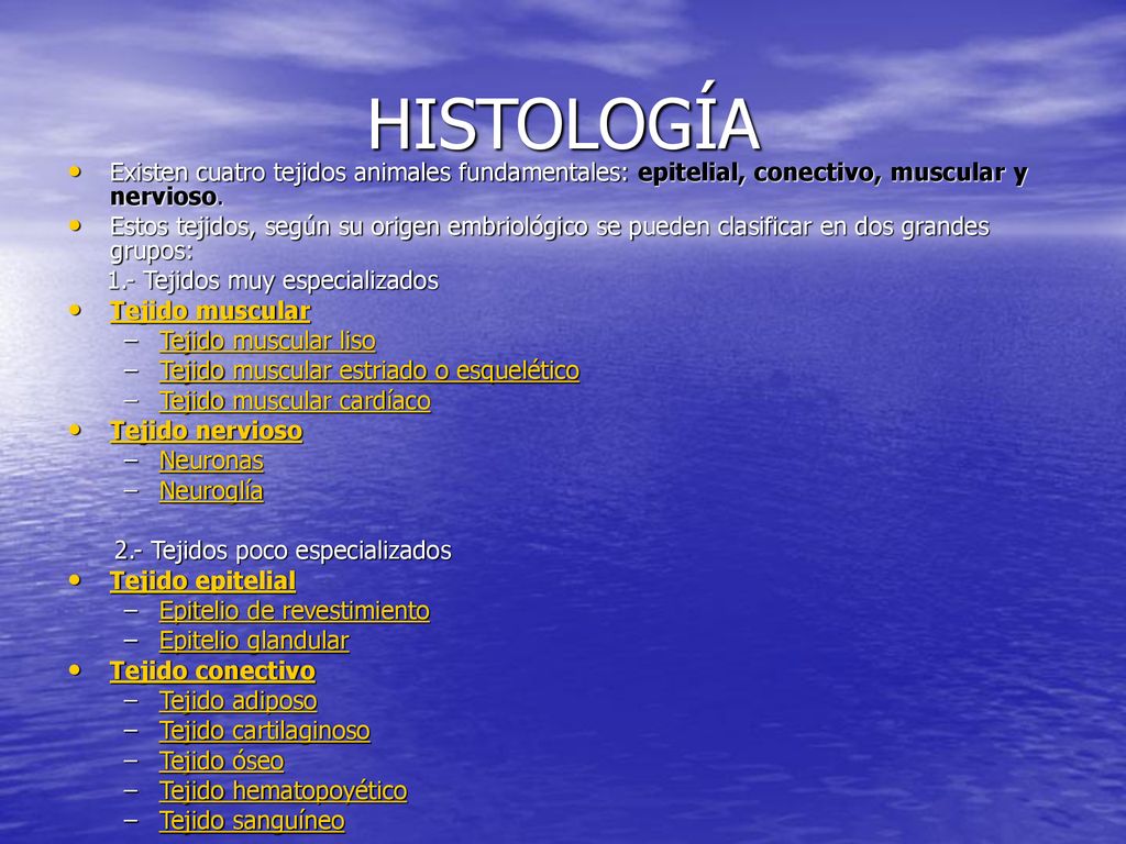 HISTOLOGÍA Existen cuatro tejidos animales fundamentales: epitelial, conectivo, muscular y nervioso.