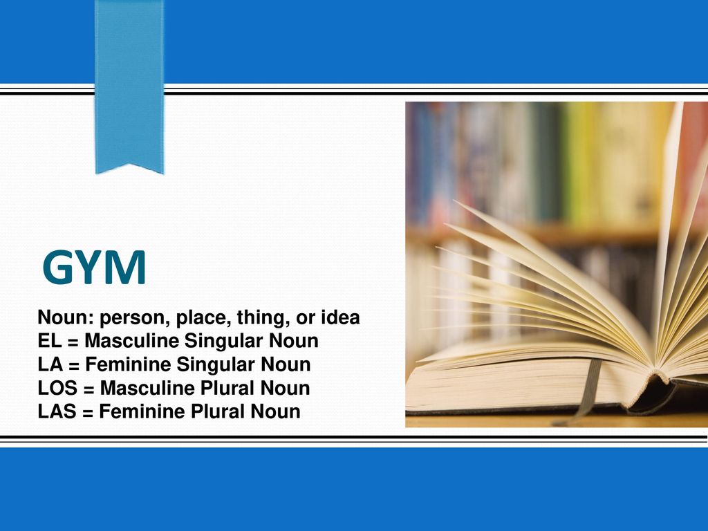 gym Noun: person, place, thing, or idea EL = Masculine Singular Noun