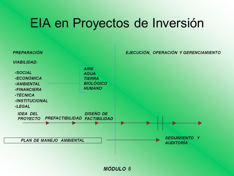 EIA en Proyectos de Inversión