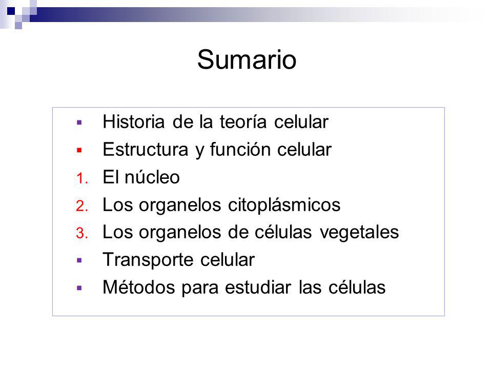 Sumario Historia de la teoría celular Estructura y función celular