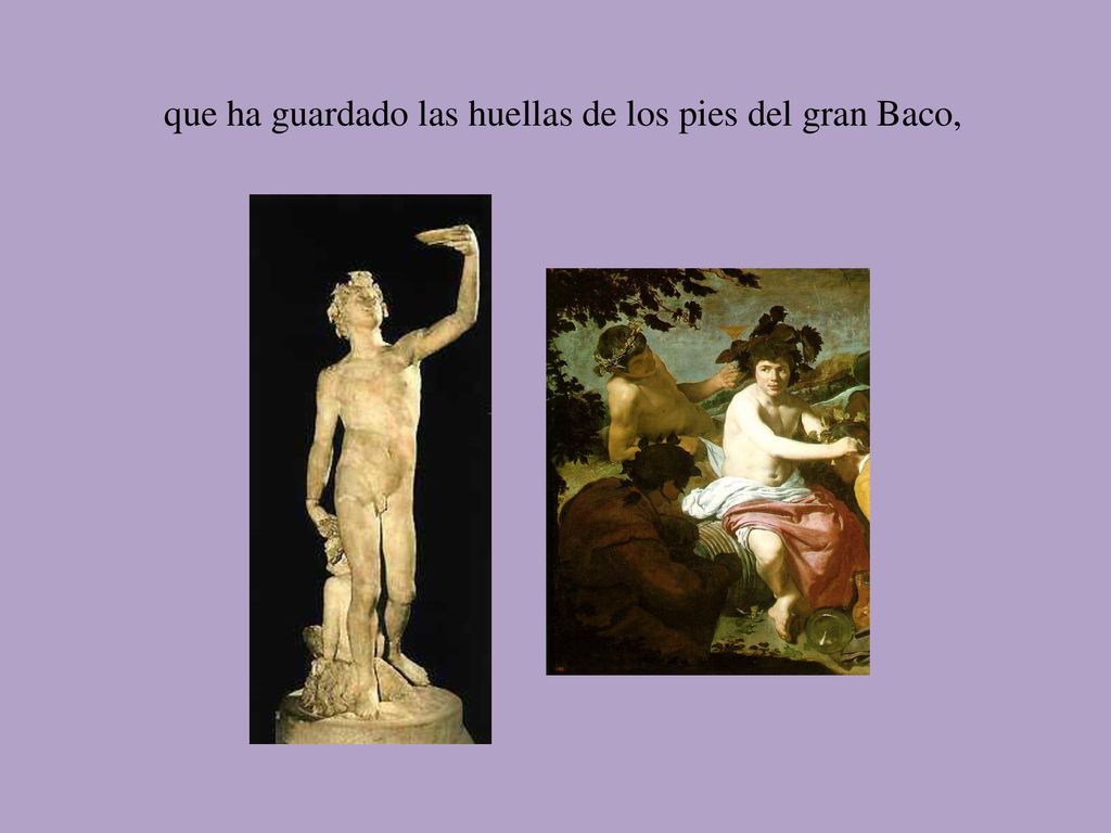 que ha guardado las huellas de los pies del gran Baco,