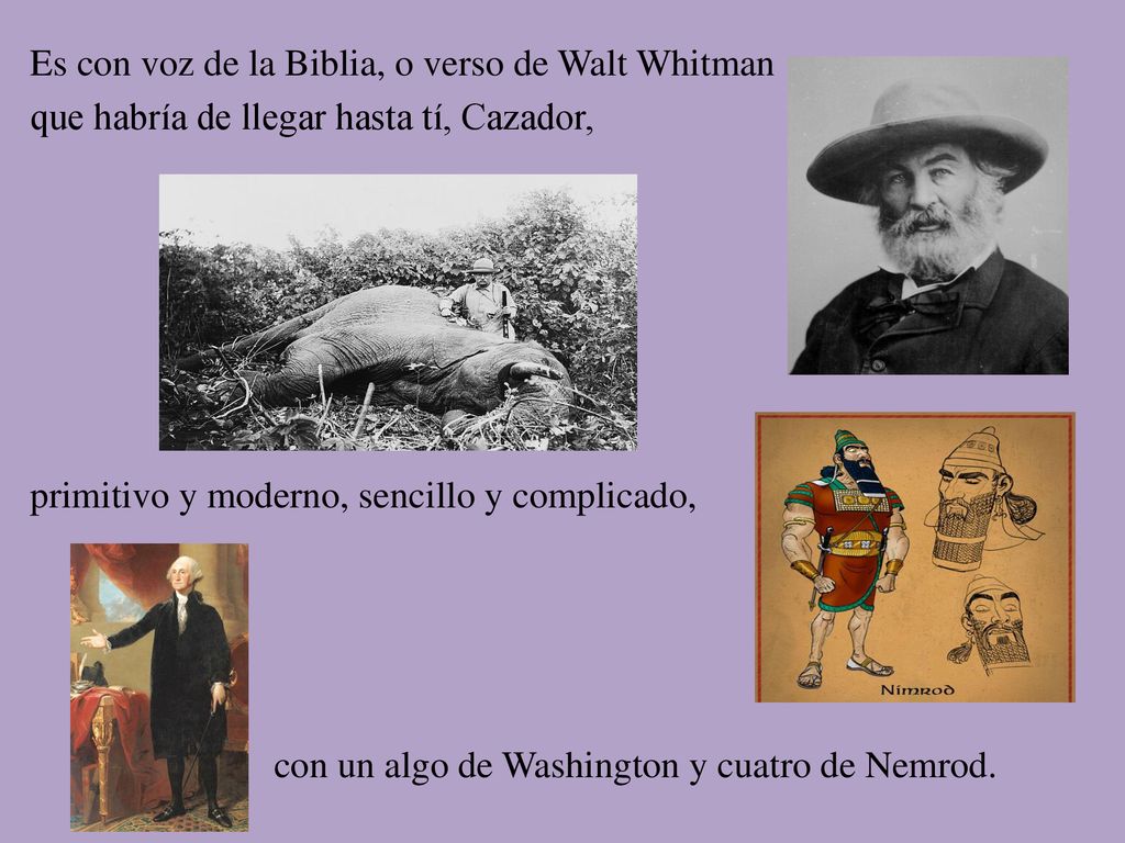 Es con voz de la Biblia, o verso de Walt Whitman que habría de llegar hasta tí, Cazador, primitivo y moderno, sencillo y complicado, con un algo de Washington y cuatro de Nemrod.