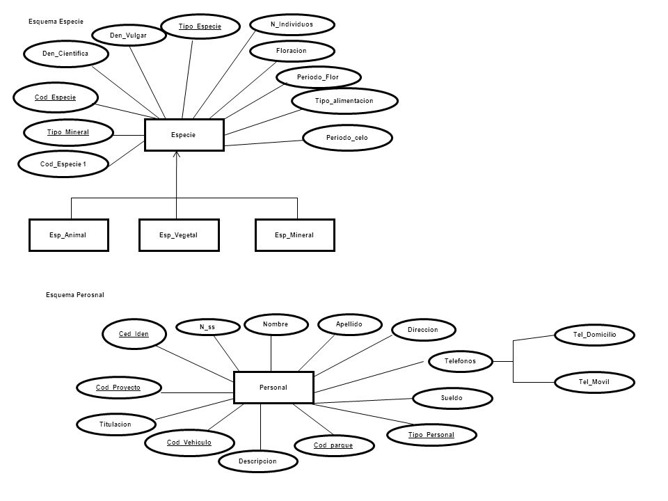Cod_Especie Tipo_alimentacion. Periodo_celo. Especie. Den_Cientifica. N_Individuos. Esquema Especie.