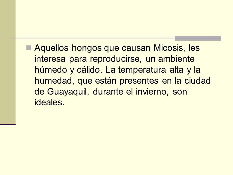 Aquellos hongos que causan Micosis, les interesa para reproducirse, un ambiente húmedo y cálido.