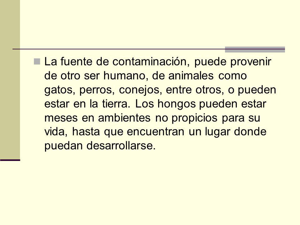 La fuente de contaminación, puede provenir de otro ser humano, de animales como gatos, perros, conejos, entre otros, o pueden estar en la tierra.