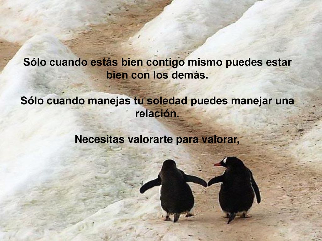 Sólo cuando estás bien contigo mismo puedes estar bien con los demás.