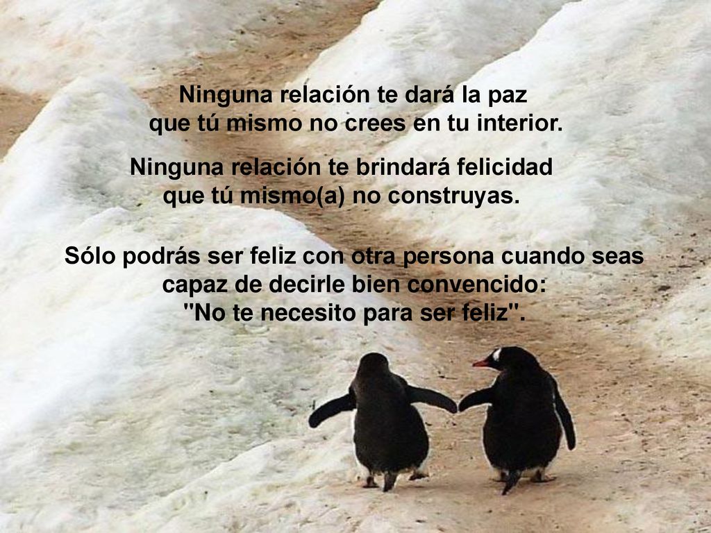 Ninguna relación te dará la paz Ninguna relación te brindará felicidad