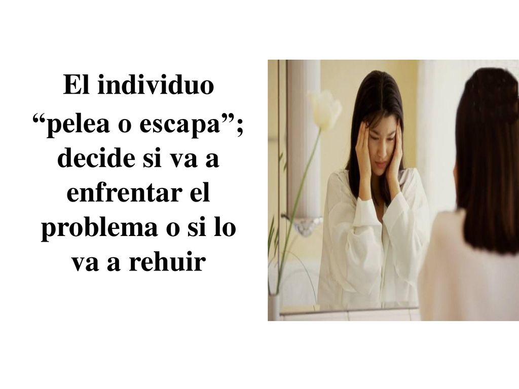 El individuo pelea o escapa ; decide si va a enfrentar el problema o si lo va a rehuir