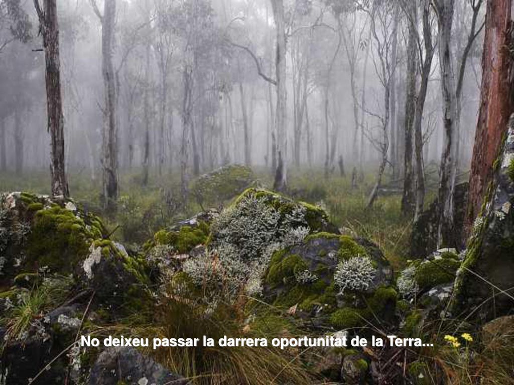 No deixeu passar la darrera oportunitat de la Terra...