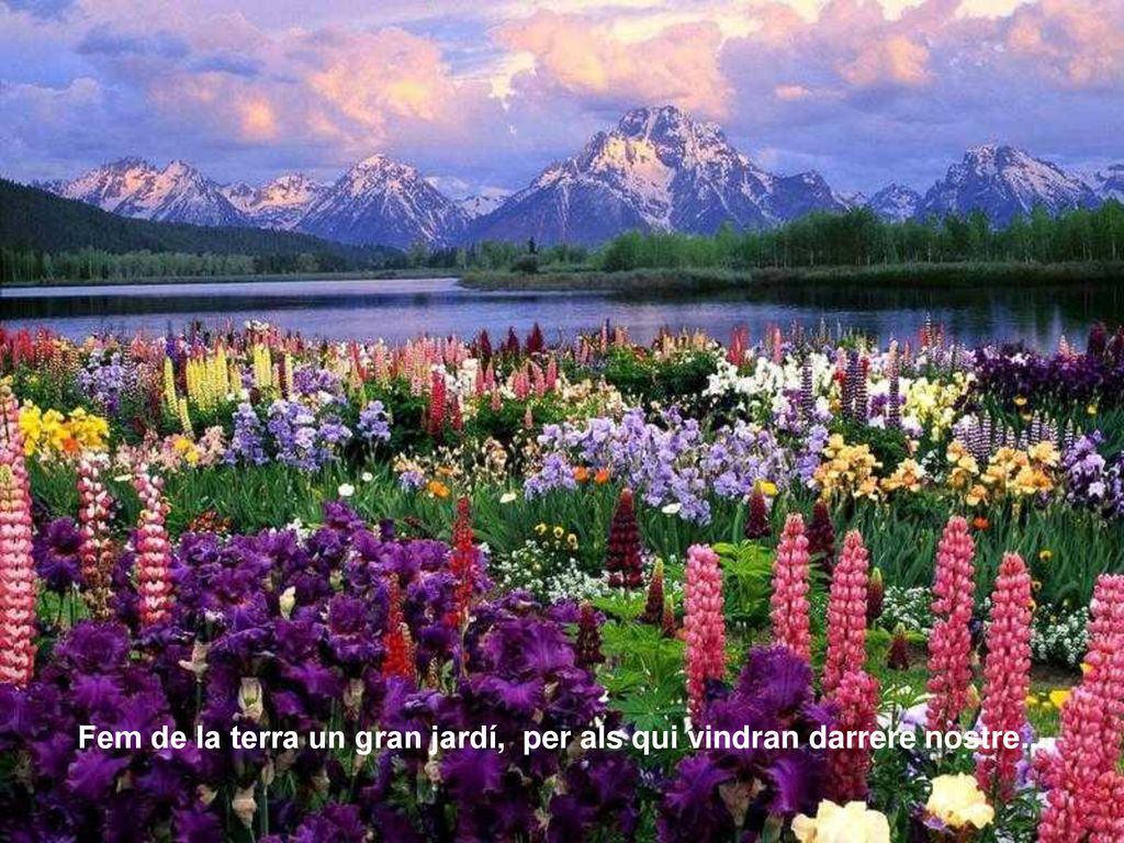 Fem de la terra un gran jardí, per als qui vindran darrere nostre...
